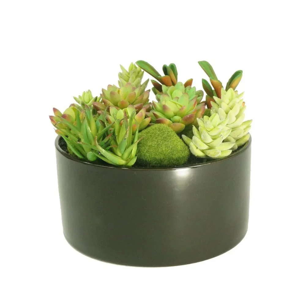 Faux Succulent Planter with Moss Cactus Aloe Vera - Picture 5 of 5